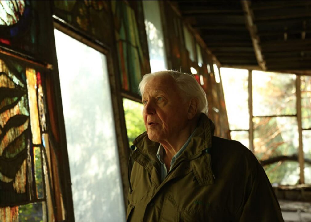 #1. David Attenborough: A Life on Our Planet (2020)